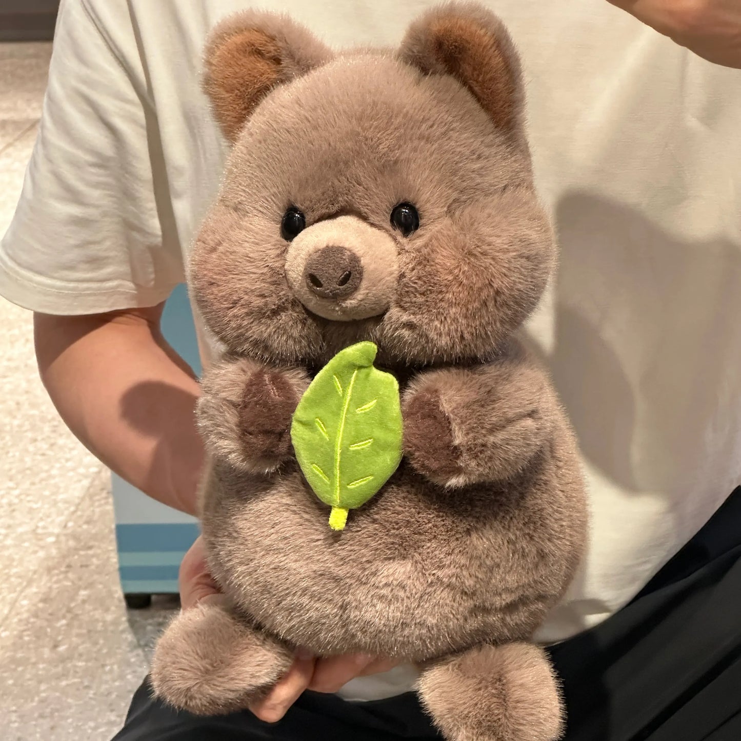 Adorable Quokka Plush Toy