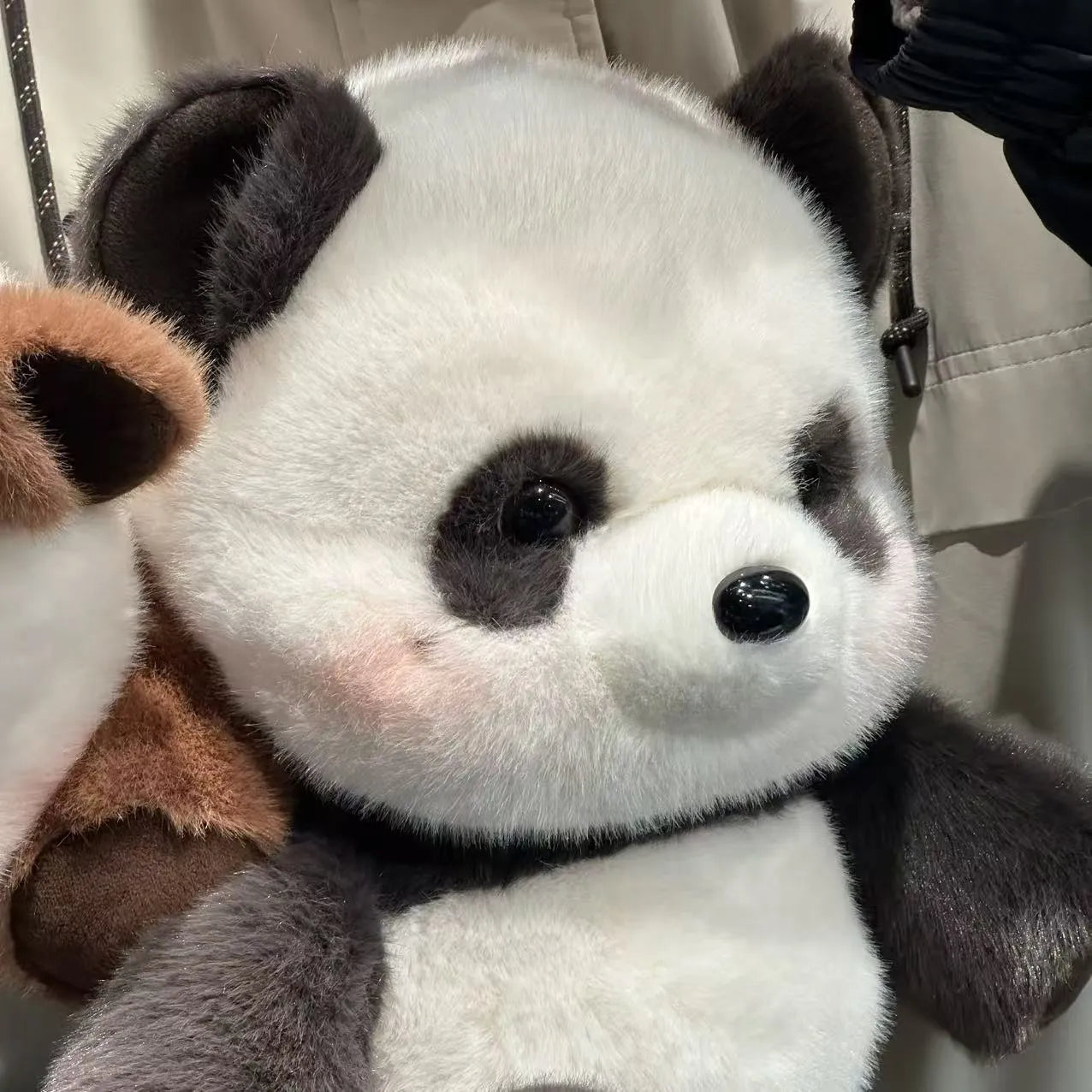 Fofo Panda de Pelúcia em Movimento