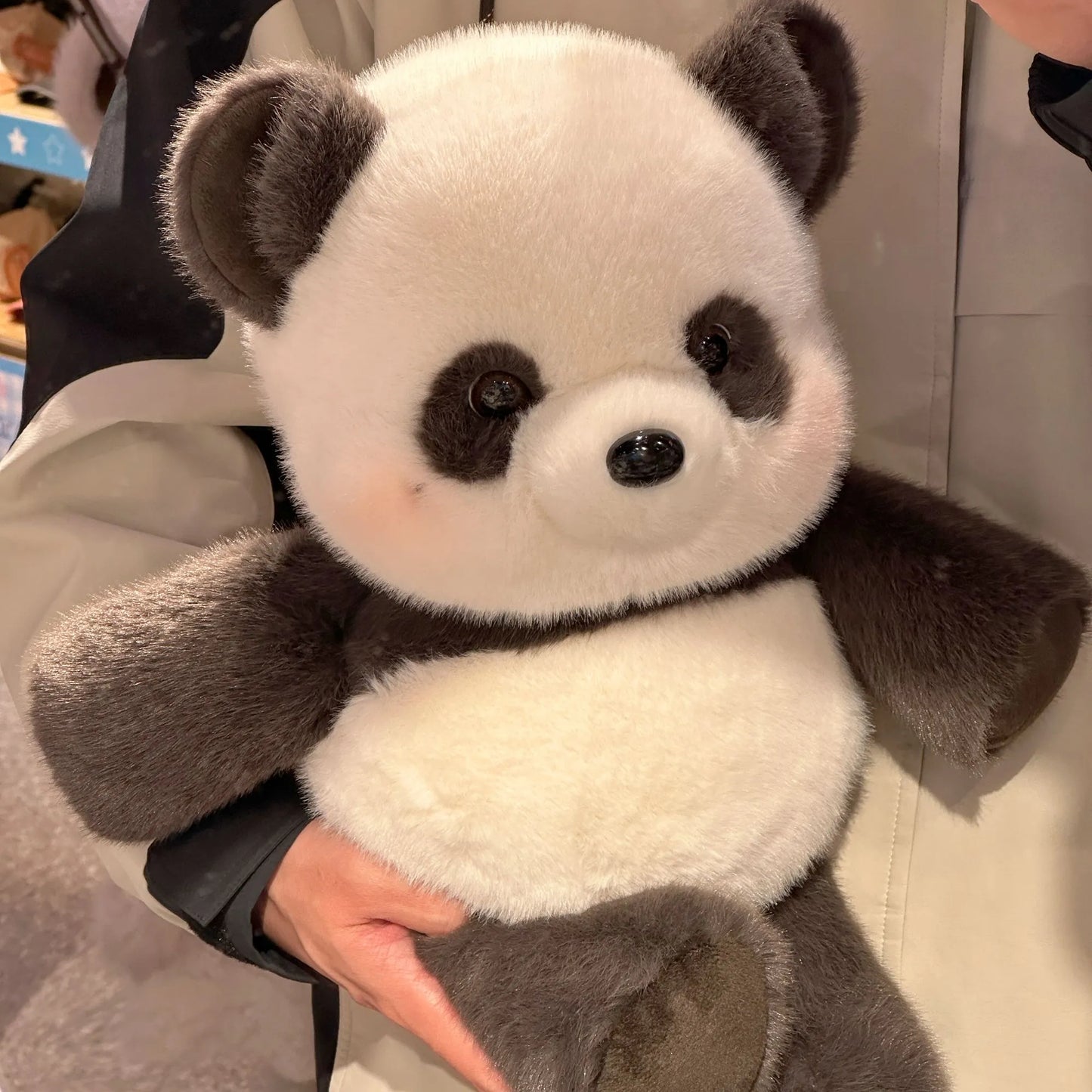 Fofo Panda de Pelúcia em Movimento